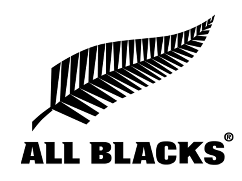 Logo 15