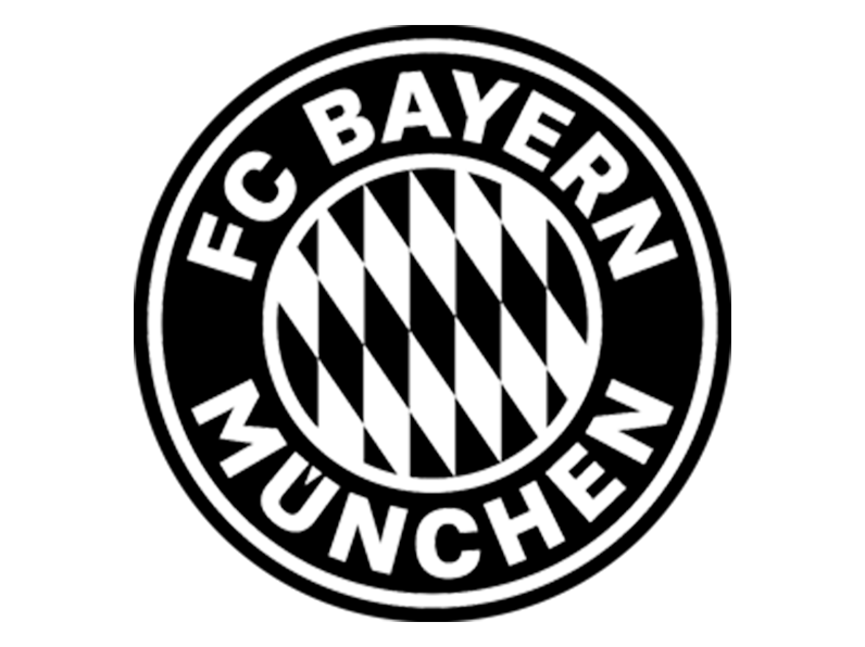 Logo 13